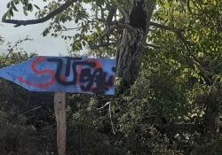 Ustaški simboli iscrtani na šehidskom mezarju dan nakon otvaranja spomen obilježja
