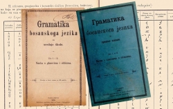 Nije tačno da je bosanski jezik potpuno ukinut 1907, bošnjačke ustanove bile su izuzete od vladine naredbe