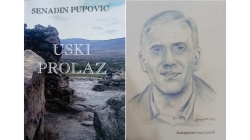 Kapije svjetlosti umjetnički i naučni univerzum Senadina Pupovića