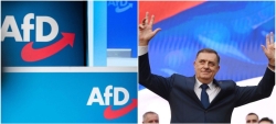 Njemački AfD, koji negira genocid u Srebrenici, stao u odbranu osuđenika: U BiH nije problem u Dodiku, već u Bošnjacima 